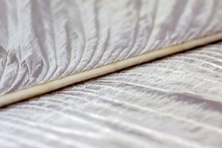 Macro background texture