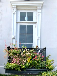 Louis DeSaussure House, South of Broad, Charleston, SC photo