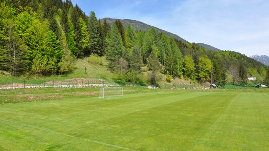 Green grass green football