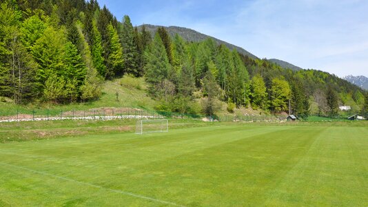 Green grass green football photo