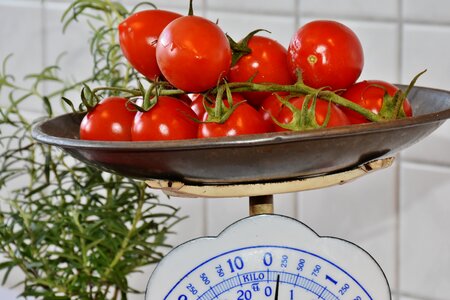 Fresh salad food