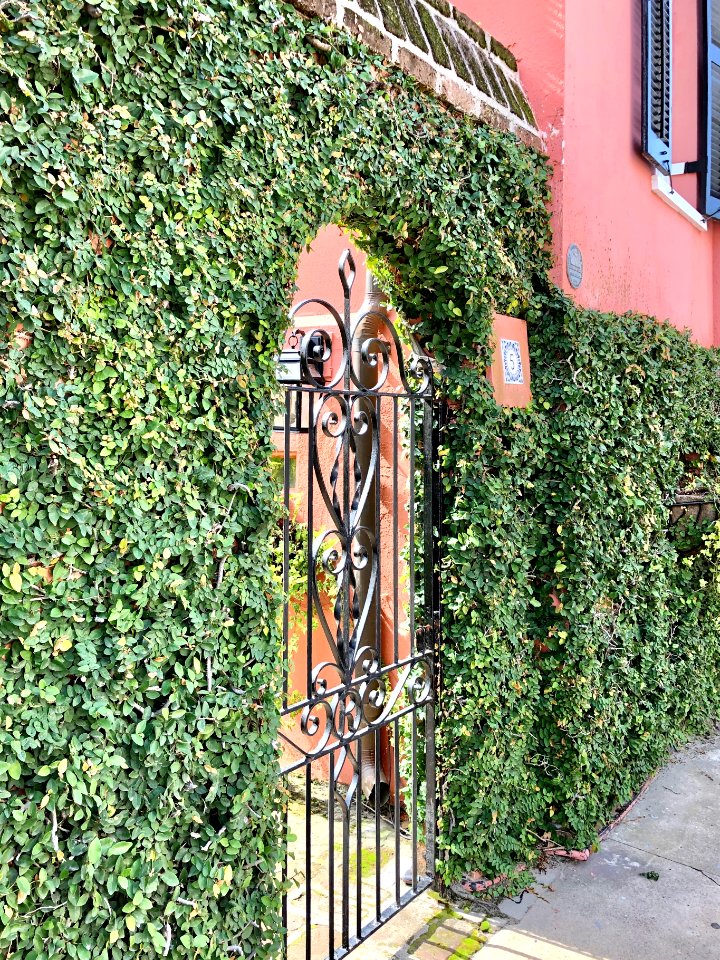 Water Street, South of Broad, Charleston, SC 