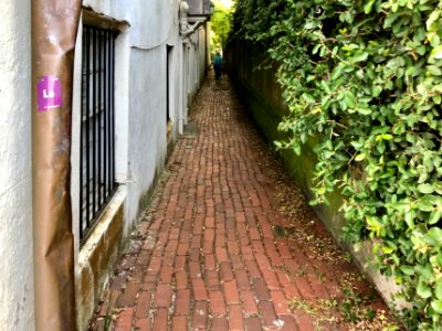 Stoll's Alley, South of Broad, Charleston, SC 