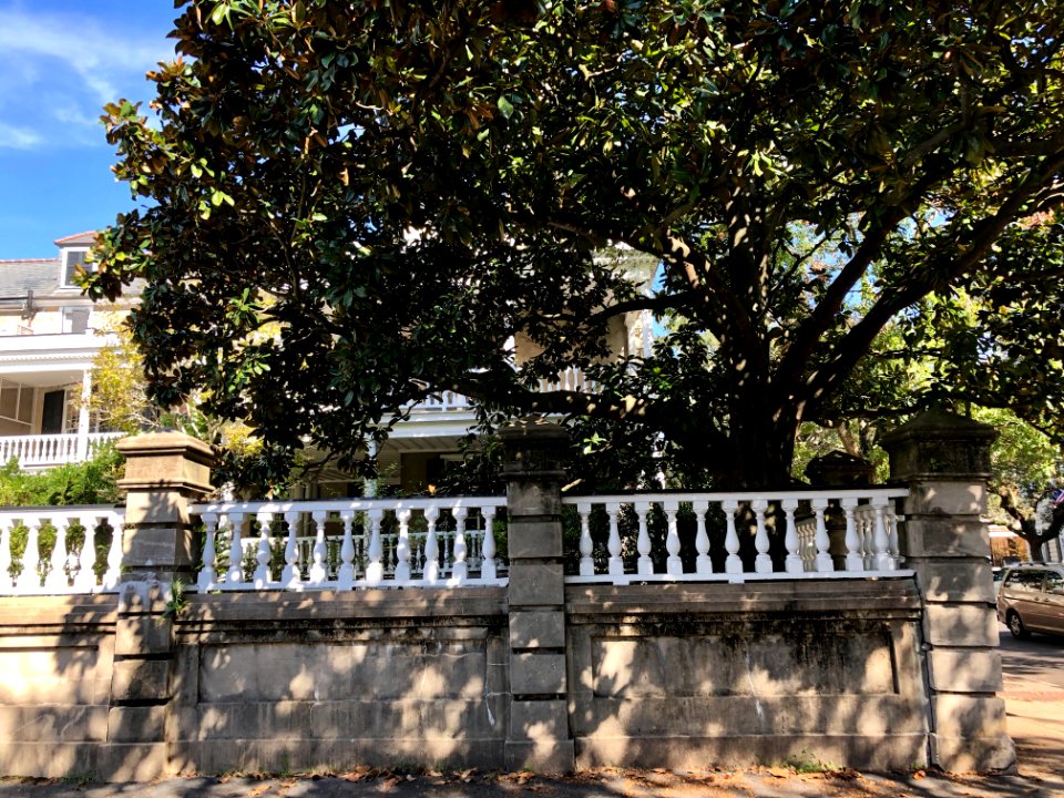Fence, William Bull House, South of Broad, Charleston, SC 