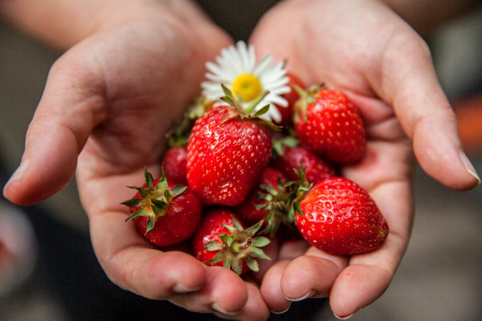 Fruit food healthy