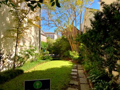 Garden, Church Street, South of Broad, Charleston, SC 