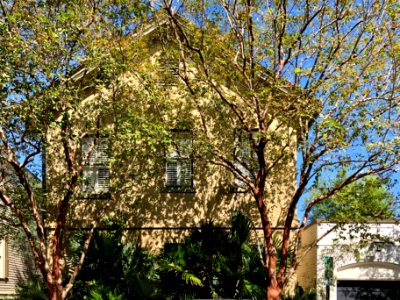 Atlantic Street, South of Broad, Charleston, SC 