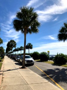 Murray Boulevard, South of Broad, Charleston, SC 