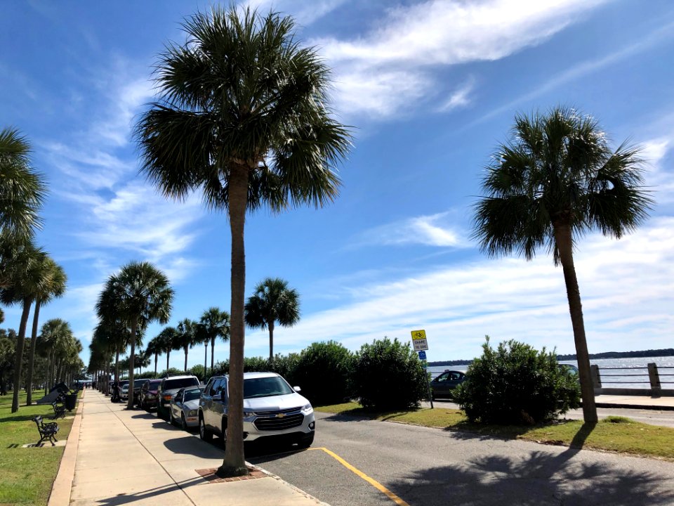 Murray Boulevard, South of Broad, Charleston, SC 