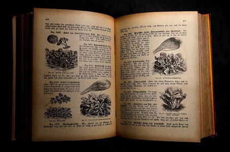 Book antiquarian cookbook antique cookbook