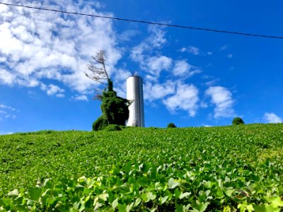 College Hill Standpipe, Sylva, NC 