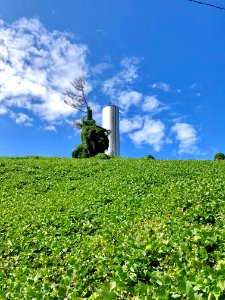 College Hill Standpipe, Sylva, NC 