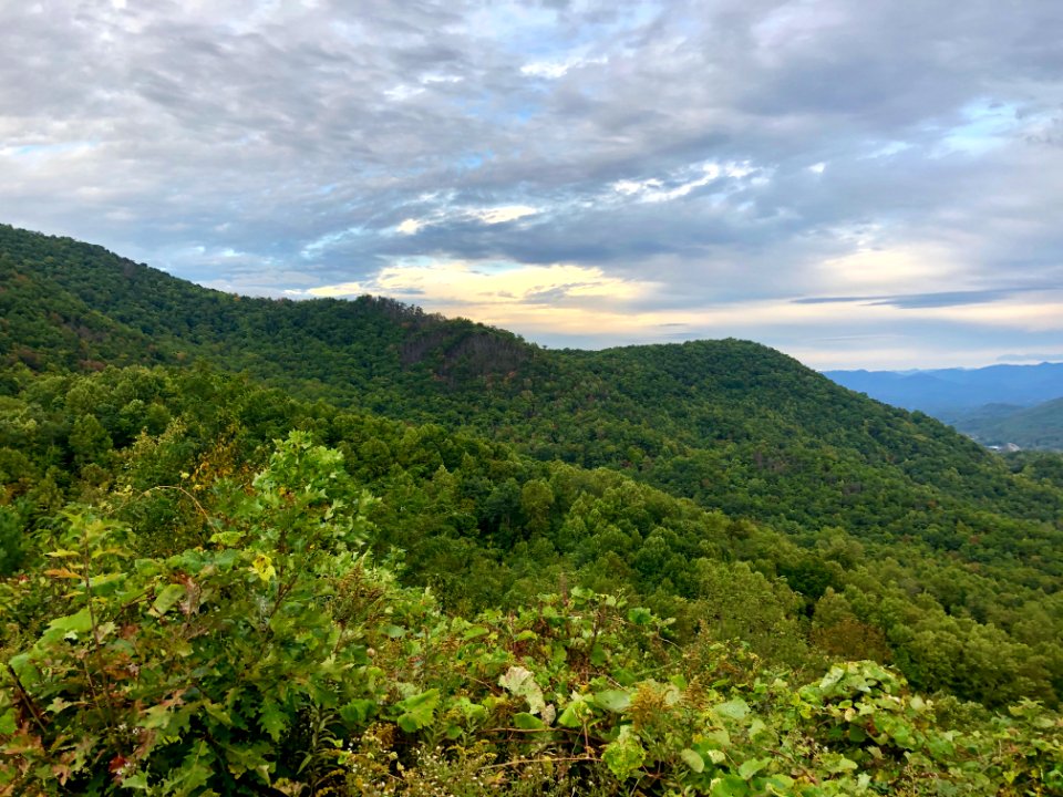 Cartoogechaye Creek Valley from Winding Stair Gap Overlook… 