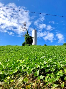 College Hill Standpipe, Sylva, NC 