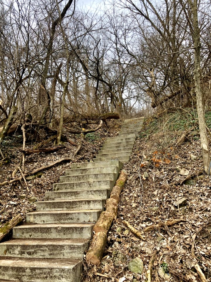 Fairmount Avenue Steps, South Fairmount, Cincinnati, OH 