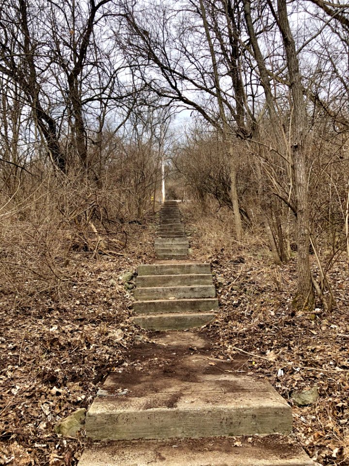Fairmount Avenue Steps, South Fairmount, Cincinnati, OH 
