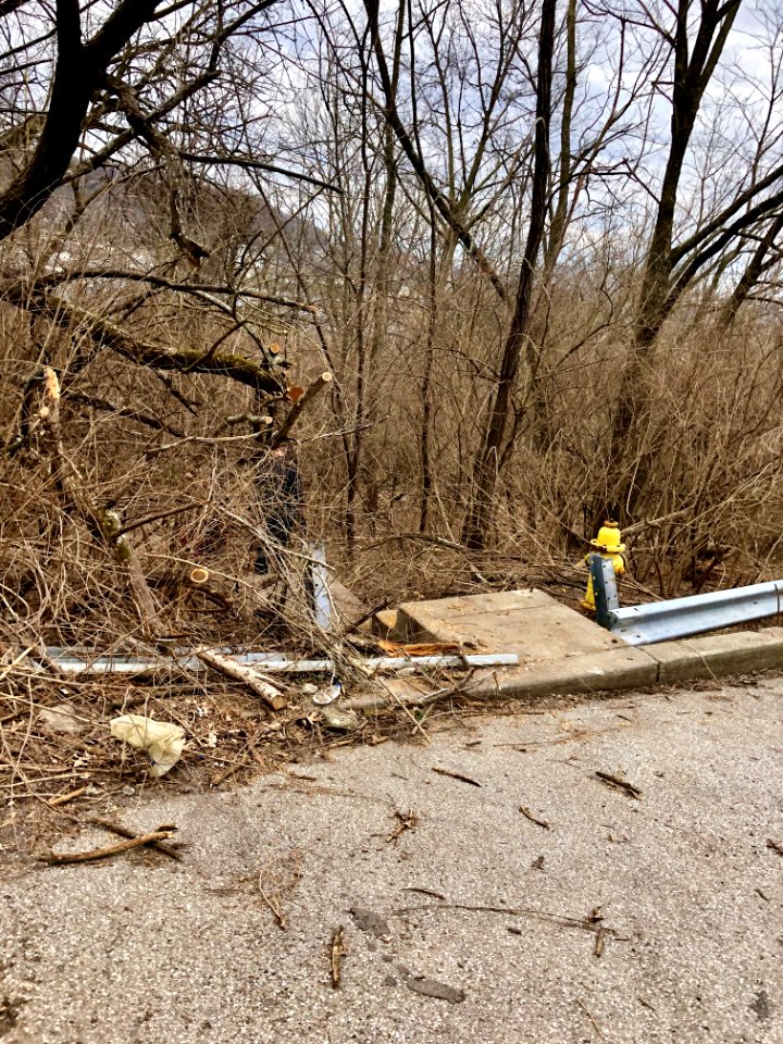 Fairmount Avenue Steps, South Fairmount, Cincinnati, OH 
