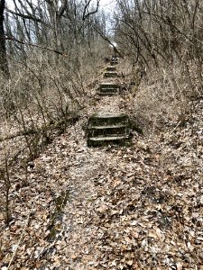 Fairmount Avenue Steps, South Fairmount, Cincinnati, OH 