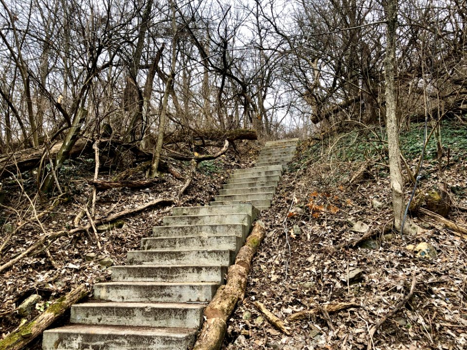 Fairmount Avenue Steps, South Fairmount, Cincinnati, OH 