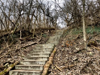 Fairmount Avenue Steps, South Fairmount, Cincinnati, OH 