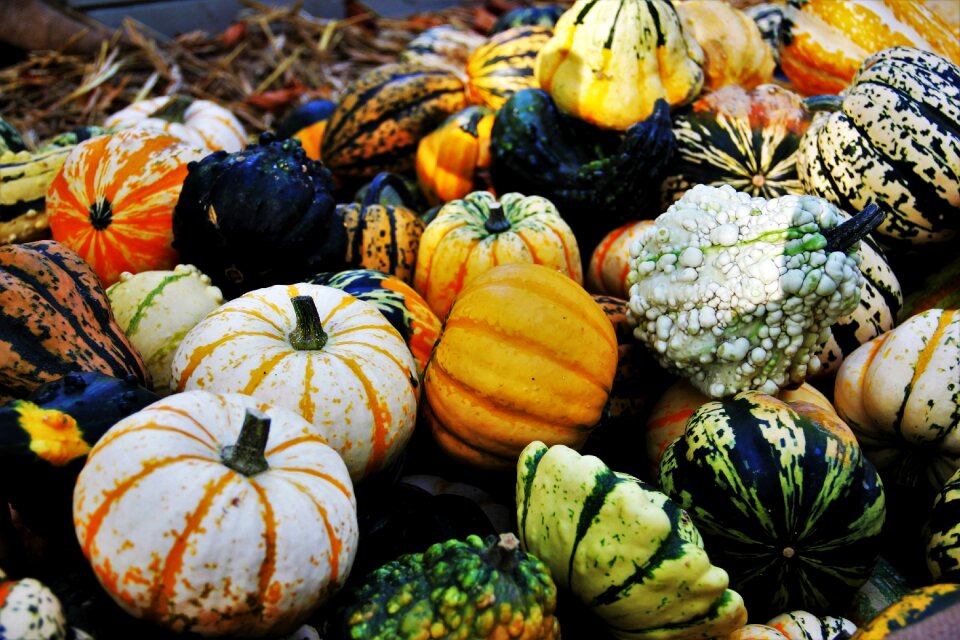 Halloween decoration multi coloured