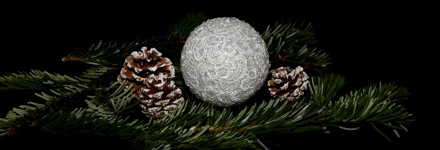 Christmas wishes pine cones holly