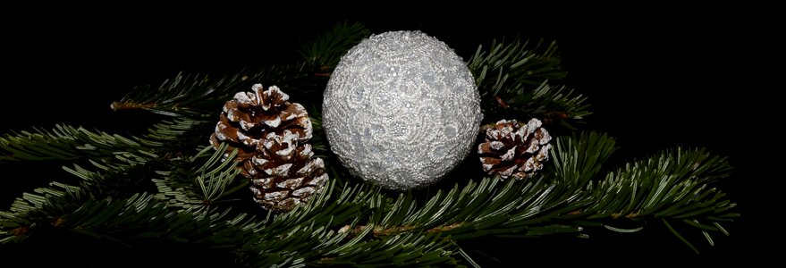 Christmas wishes pine cones holly photo