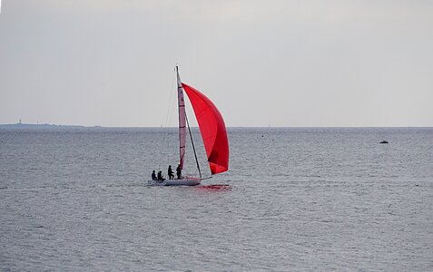 Boat sailing boat sea photo