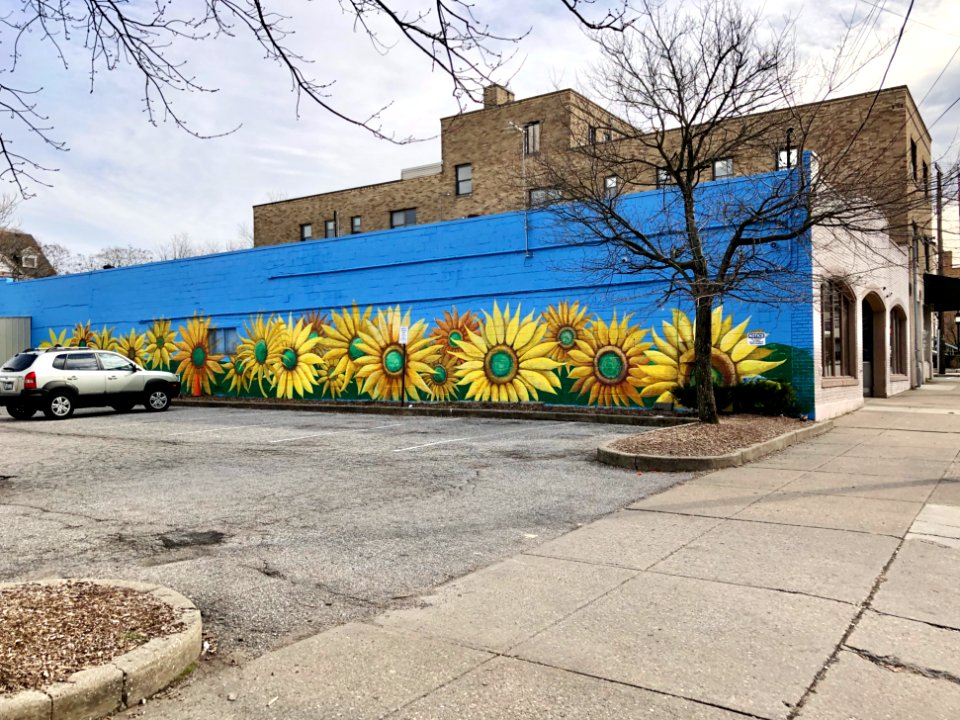 Scott Boulevard, Covington, KY 