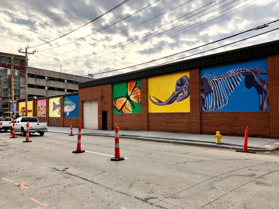 Kerry Collision Center, Covington, KY 