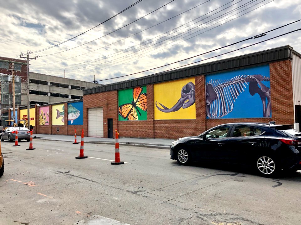 Kerry Collision Center, Covington, KY 