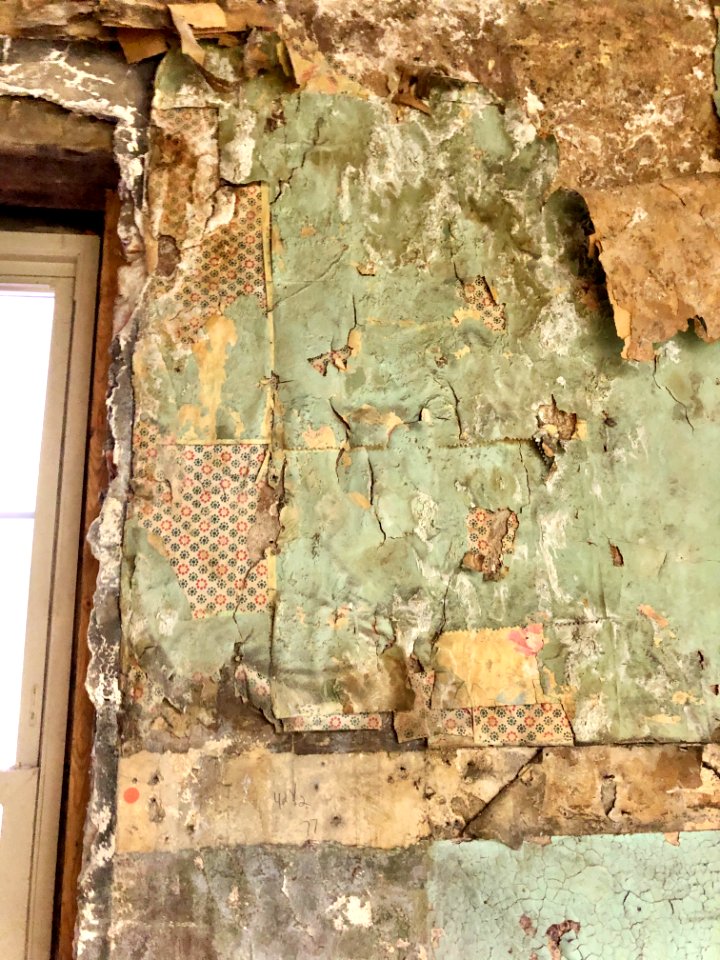 Wallpaper, Pike Street, Covington, KY 