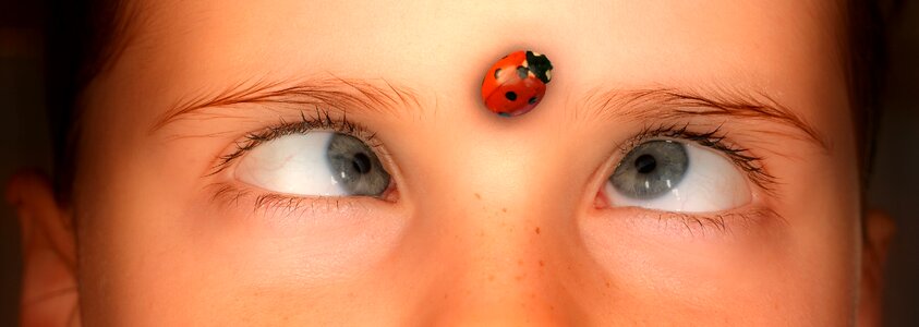 Person girl ladybug photo