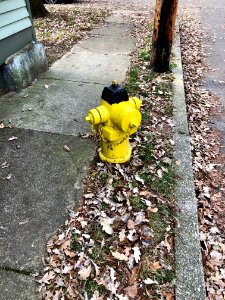 Fire Hydrant, Kentucky Avenue, Mutter Gottes, Covington, K… 