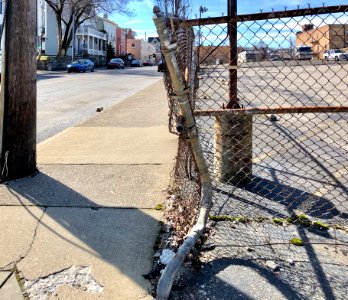 Broken Fence, Greenup Street, Licking Riverside, Covington… 