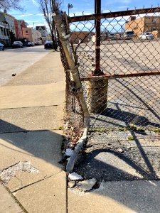 Broken Fence, Greenup Street, Licking Riverside, Covington… 
