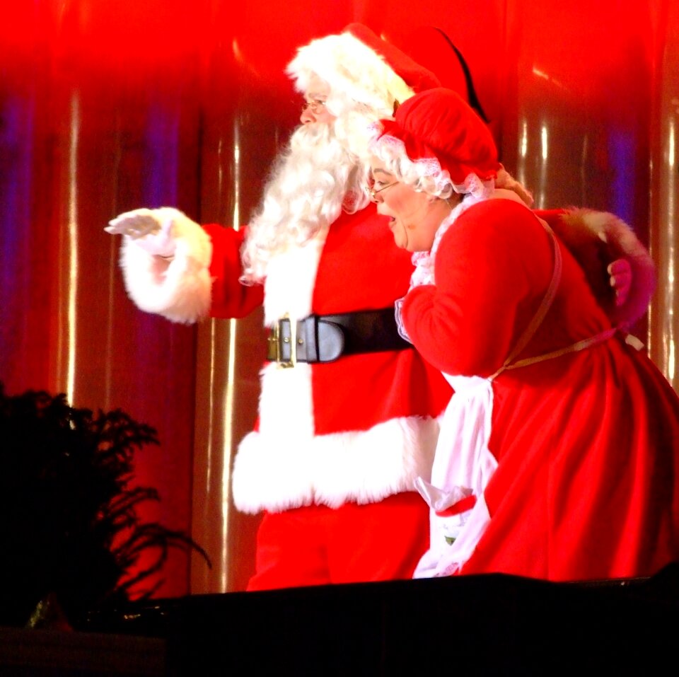 Mrs claus holiday festive