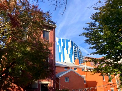 The Ascent at Roebling's Bridge from Sparrow Alley, Lickin… 