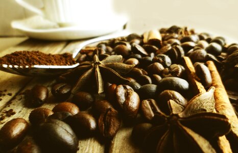 Cinnamon anis break