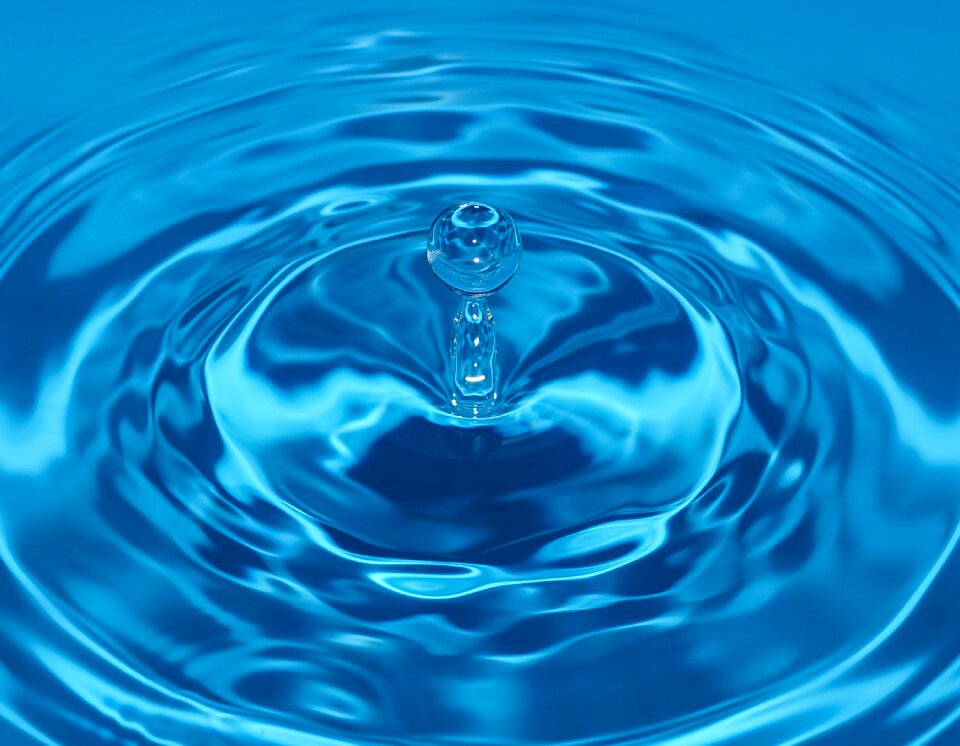 Aqua macro close up