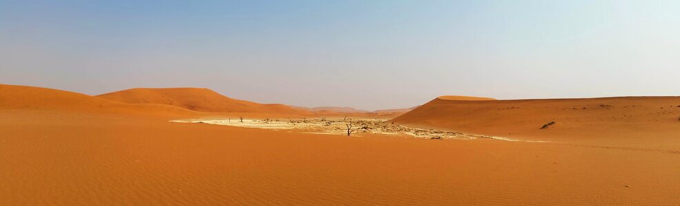 Namib desert desert dunes
