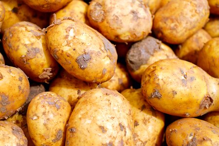Food carbohydrates raw potatoes