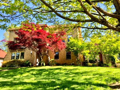 Audubon Road, Park Hills, KY 