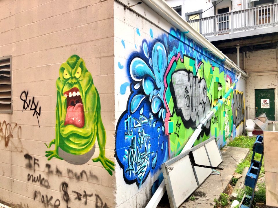 Alley, Covington, KY 