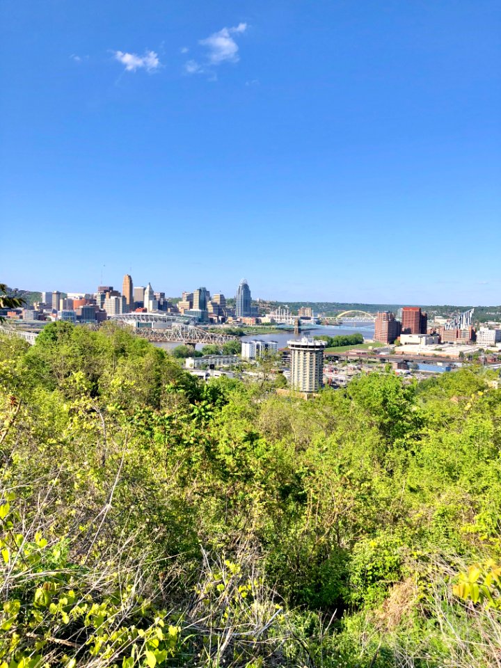 Cincinnati Skyline from The Overlook, Devou Park, Kenton H… 