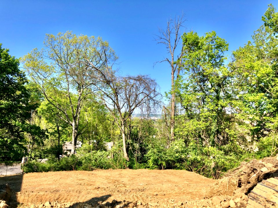 Rose Circle, Park Hills, KY 