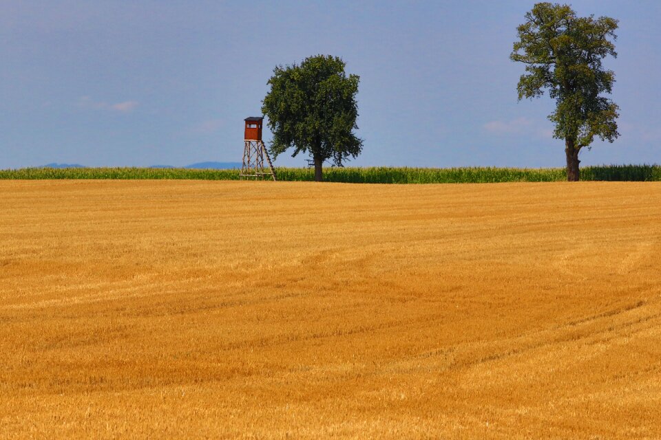 Nature agriculture mowed photo