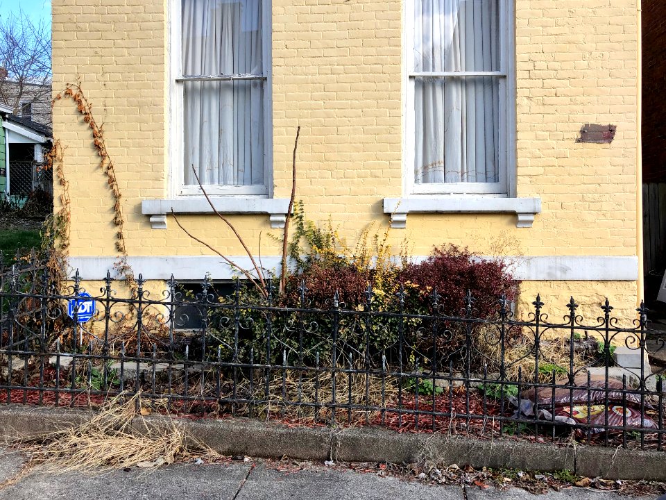 Dalton Street, Mainstrasse Village, Covington, KY 