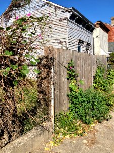 Perry Street, Mainstrasse Village, Covington, KY 