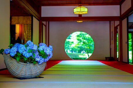 Kamakura the bright moon of flowers